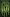 Official Minecraft Cape: Zombie Horse - rare rarity